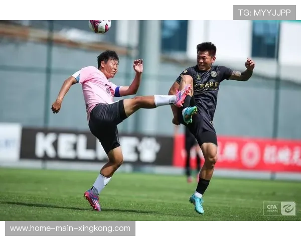 沙尔克04—诺伊维尔特罚入任意球制造亮点